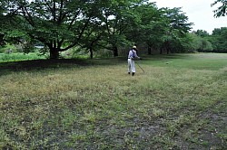 小棚公園除草中