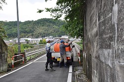 吉井大橋付近伐採１