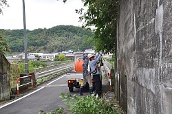 吉井大橋付近伐採２