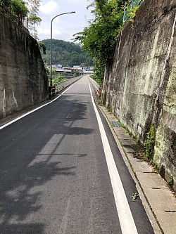一部伐採後