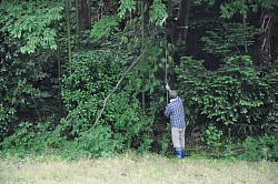 公園除草中１